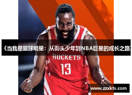 《当我是篮球明星：从街头少年到NBA巨星的成长之路》